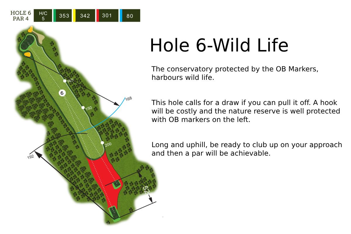 Hole 6